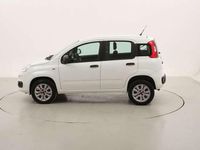 Usata Fiat Panda Easy 86 CV (63 kW) 2018 Bianco Utilitaria