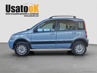 Usata Fiat Panda 4x4 Climbing 60 CV (44 kW) 2007 Utilitaria