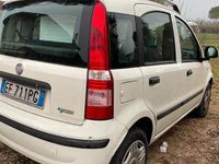Usata Fiat Panda 77 CV (56 kW) 2010 Bianco Utilitaria
