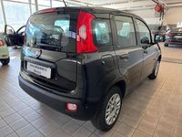 Usata Fiat Panda Easy 69 CV (50 kW) 2019 Nero Utilitaria
