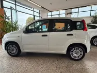 Usata Fiat Panda Easy 69 CV (50 kW) 2017 Bianco Utilitaria