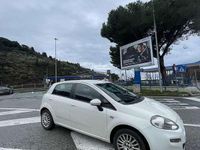 Usata Fiat Punto Lounge 77 CV (56 kW) 2013 Utilitaria