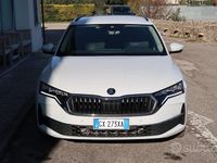 Occasion Skoda Octavia Selection 150 ch (110 kW) 2024 Blanc Break