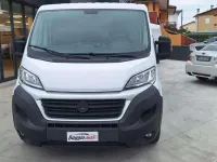 Occasion Fiat Ducato 150 ch (110 kW) 2019 Blanc Van