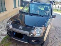 Usata Fiat Panda 4x4 Cross 69 CV (50 kW) 2006 Verde Utilitaria