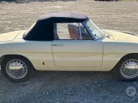 Usata Alfa Romeo Spider 1960 Cabrio