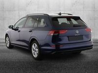 usata VW Golf VIII Golf Variant 2.0 TDI 150 CV DSG SCR Life