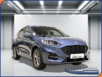 Usata Ford Kuga ST-Line X 225 CV (165 kW) 2023 Azzurro SUV