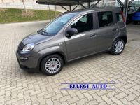 usata Fiat Panda 1.0 FireFly S&S Hybrid KM 0