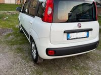 Usata Fiat Panda Easy 2015 Bianco Utilitaria