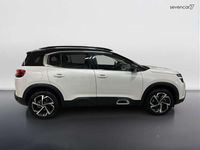 Usata Citroën C5 Aircross Business Class 131 CV (96 kW) 2022 Bianco SUV