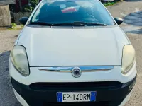Usata Fiat Punto Evo 75 CV (55 kW) 2013 Bianco Utilitaria