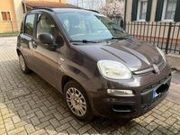 usata Fiat Panda Panda 1.2 Easy