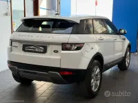 Usata Land Rover Range Rover evoque Prestige 150 CV (110 kW) 2014 Bianco SUV