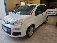 Usata Fiat Panda Easy 69 CV (50 kW) 2020 Bianco Utilitaria