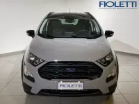 Usata Ford Ecosport Active 125 CV (91 kW) 2023 Grigio SUV
