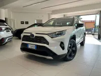 Usata Toyota RAV4 Hybrid Style 222 CV (163 kW) 2019 Bianco SUV