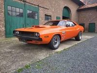 Usata Dodge Challenger 396 CV (291 kW) 1970 Arancione Coupé