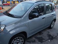 Usata Fiat Panda Easy 69 CV (50 kW) 2018 Grigio Utilitaria