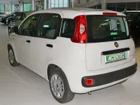 Usata Fiat Panda 70 CV (51 kW) 2021 Grigio Utilitaria