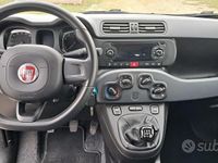 Usata Fiat Panda Easy 71 CV (52 kW) 2019 Bianco Berlina