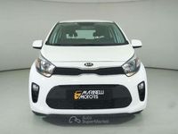 Usata Kia Picanto 67 CV (49 kW) 2020 Bianco Utilitaria
