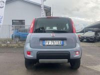 Usata Fiat Panda 4x4 S 86 CV (63 kW) 2019 Grigio Utilitaria