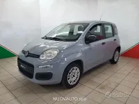 Usata Fiat Panda Easy 69 CV (50 kW) 2019 Grigio Utilitaria