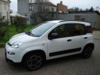 usata Fiat Panda 1.0 FireFly S&S Hybrid City Life - 5 POSTO. come nuova-