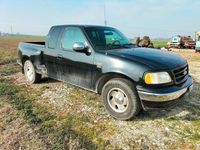 Usata Ford F-150 1998 Pick-up