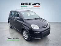 Usata Fiat Panda S 70 CV (51 kW) 2024 Nero Utilitaria