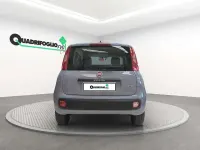 Usata Fiat Panda City Life 69 CV (50 kW) 2022 Grigio Utilitaria