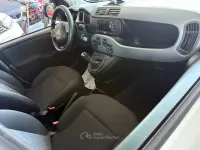 Usata Fiat Panda Cross Cross 69 CV (50 kW) 2020 Bianco Utilitaria