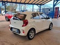Usata Kia Picanto Urban 67 CV (49 kW) 2022 Bianco Utilitaria