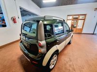 Usata Fiat Panda 4x4 Cross 69 CV (50 kW) 2007 Verde Utilitaria