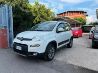 Usata Fiat Panda 4x4 S 95 CV (69 kW) 2017 Bianco Utilitaria