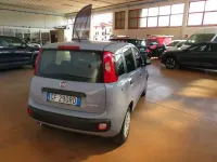 Usata Fiat Panda S 69 CV (50 kW) 2021 Grigio Utilitaria