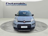 Usata Fiat Panda 4x4 S 86 CV (63 kW) 2019 Grigio Utilitaria
