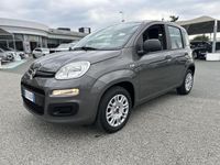 Usata Fiat Panda Easy 69 CV (50 kW) 2019 Grigio Utilitaria