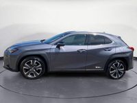 usata Lexus UX Hybrid Premium