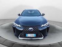 usata Lexus UX Hybrid Business