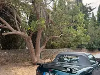 Usata Mazda MX5 110 CV (80 kW) 1999 Nero Cabrio