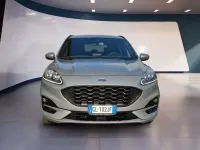 Usata Ford Kuga ST-Line X 225 CV (165 kW) 2023 Grigio SUV