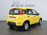 Nuova Fiat Panda S 69 CV (50 kW) 2025 Giallo Utilitaria