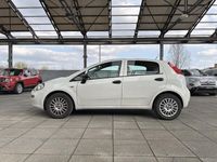 usata Fiat Punto 1.2 Street 69cv EU6