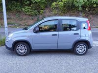 Usata Fiat Panda S 69 CV (50 kW) 2022 Grigio Utilitaria