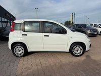 Usata Fiat Panda Easy 95 CV (69 kW) 2019 Bianco Utilitaria