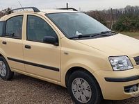 Usata Fiat Panda Emotion 60 CV (44 kW) 2008 Giallo Utilitaria