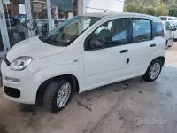 Usata Fiat Panda Easy 69 CV (50 kW) 2020 Bianco Utilitaria