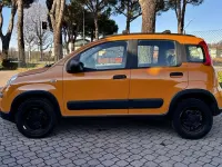 Usata Fiat Panda 4x4 S 86 CV (63 kW) 2019 Arancione Utilitaria